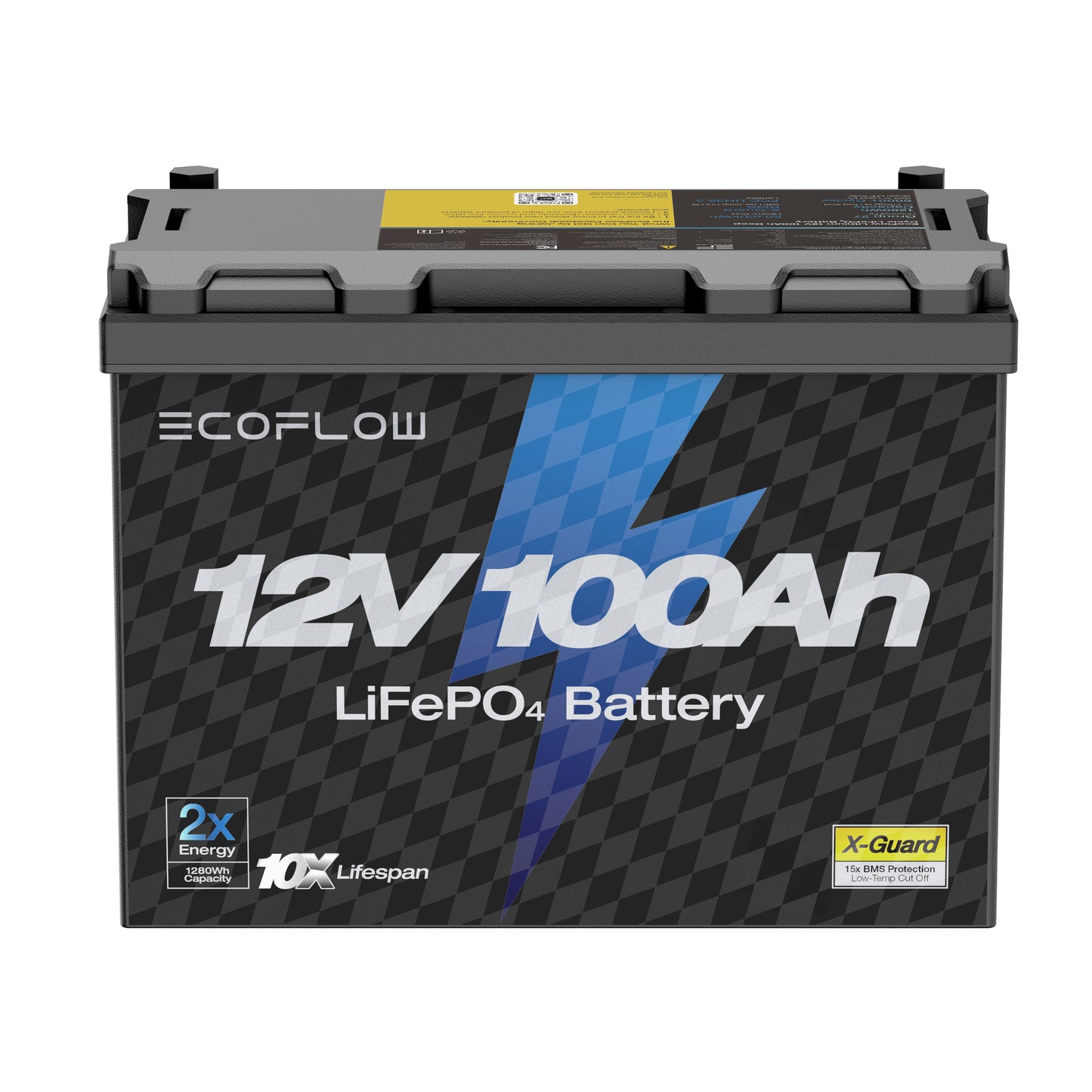 EcoFlow Lithium 12V 100Ah Deep Cycle LiFePO4 Battery