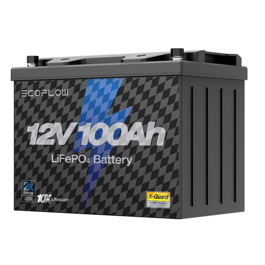EcoFlow Lithium 12V 100Ah Deep Cycle LiFePO4 Battery