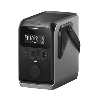 EcoFlow TRAIL 300 DC Portable Power Station